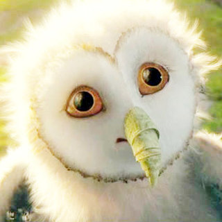 Legend Of The Guardians: The Owls Of Ga'Hoole Picture 28