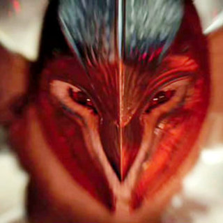 Legend Of The Guardians: The Owls Of Ga'Hoole Picture 29