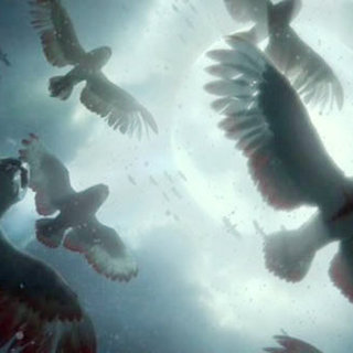 Legend Of The Guardians: The Owls Of Ga'Hoole Picture 30
