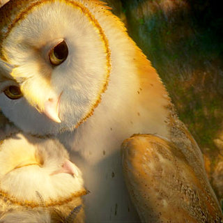 A scene from Warner Bros. Pictures' Legend of the Guardians: The Owls of Ga'Hoole (2010)