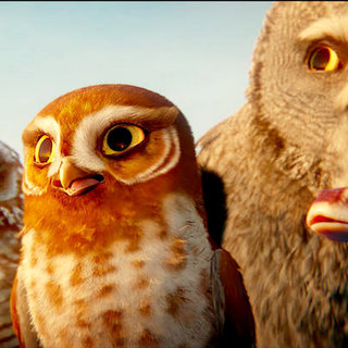 Legend Of The Guardians: The Owls Of Ga'Hoole Picture 48