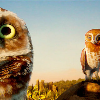 Legend of the Guardians: The Owls of Ga'Hoole Picture 49