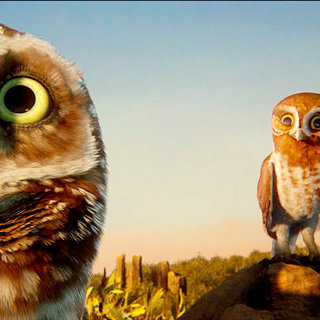 Legend Of The Guardians: The Owls Of Ga'Hoole Picture 49
