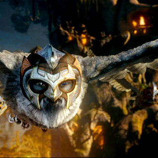Legend Of The Guardians: The Owls Of Ga'Hoole Picture 50
