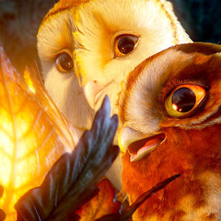 Legend Of The Guardians: The Owls Of Ga'Hoole Picture 51