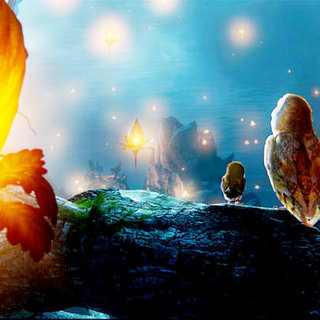Legend Of The Guardians: The Owls Of Ga'Hoole Picture 52