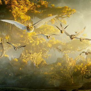 Legend Of The Guardians: The Owls Of Ga'Hoole Picture 54