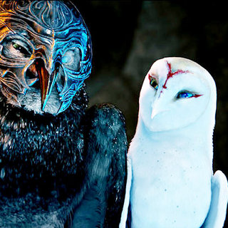 Legend Of The Guardians: The Owls Of Ga'Hoole Picture 56
