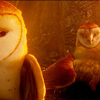 Legend Of The Guardians: The Owls Of Ga'Hoole Picture 58