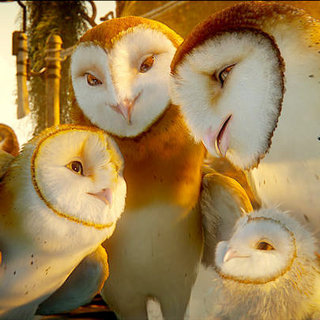 Legend Of The Guardians: The Owls Of Ga'Hoole Picture 59