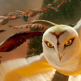 Legend Of The Guardians: The Owls Of Ga'Hoole Picture 61
