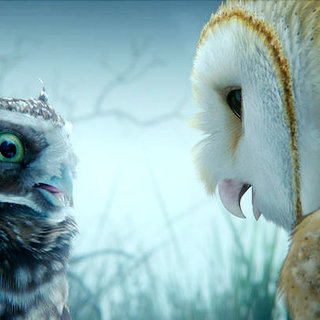 Legend Of The Guardians: The Owls Of Ga'Hoole Picture 62