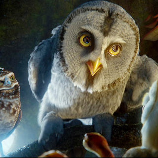Legend Of The Guardians: The Owls Of Ga'Hoole Picture 63