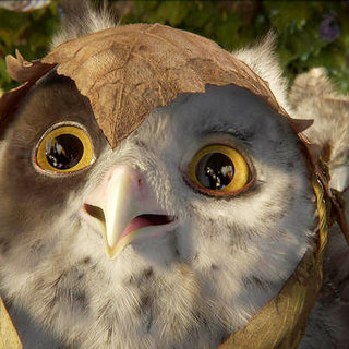 Legend Of The Guardians: The Owls Of Ga'Hoole Picture 64