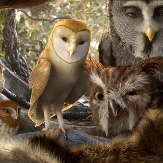 Legend Of The Guardians: The Owls Of Ga'Hoole Picture 65