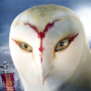 Legend of the Guardians: The Owls of Ga'Hoole Picture 37