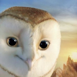 Legend Of The Guardians: The Owls Of Ga'Hoole Picture 39