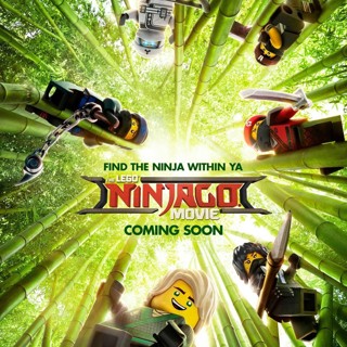 Lego Ninjago Movie, The Picture 20