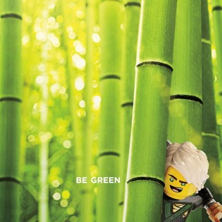 Lego Ninjago Movie, The Picture 21