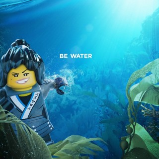 Lego Ninjago Movie, The Picture 24