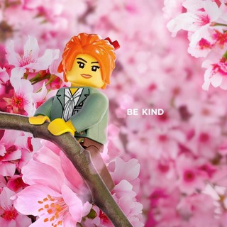 Lego Ninjago Movie, The Picture 29
