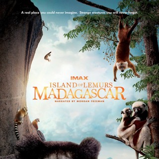 Island Of Lemurs: Madagascar Picture 4