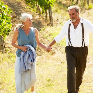 Letters To Juliet Picture 22