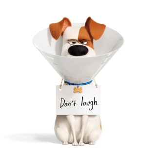 Secret Life Of Pets 2, The Picture 1