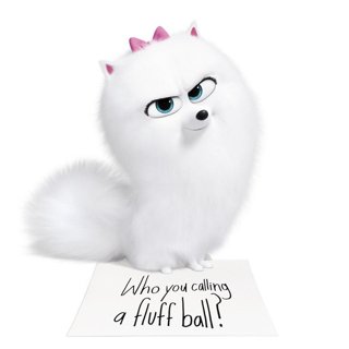 Secret Life Of Pets 2, The Picture 5