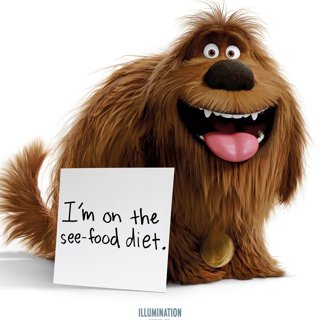 Secret Life Of Pets 2, The Picture 7