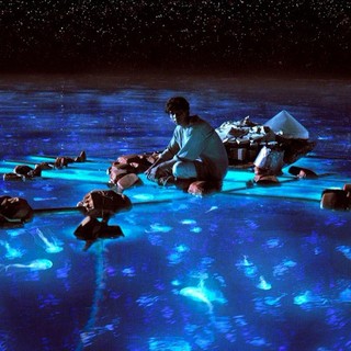 Suraj Sharma stars as Pi Patel in The 20th Century Fox's Life of Pi (2012)
