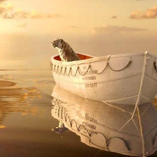 Richard Parker the Tiger from The 20th Century Fox's Life of Pi (2012)