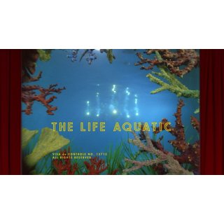 Life Aquatic With Steve Zissou, The Picture 10