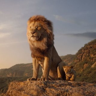 The Lion King Picture 3