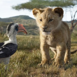 Zazu and Young Simba from Walt Disney Pictures' The Lion King (2019)