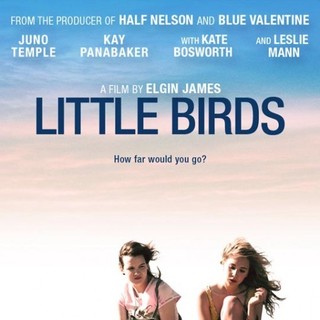 Poster of Millennium Entertainment's Little Birds (2012)