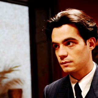 Little Ashes Picture 1