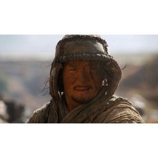Little Big Soldier Picture 5