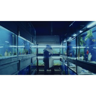 Little Fish (2021)