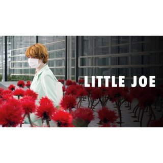 Little Joe Picture 5