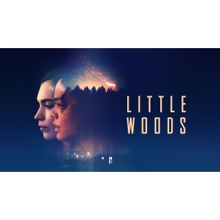 Little Woods Picture 3