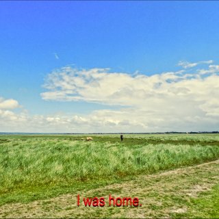 Loneliness and the Sheep (2026)