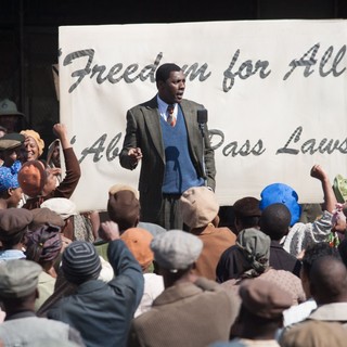 Idris Elba stars as Nelson Mandela in The Weinstein Company's' Mandela: Long Walk to Freedom (2013)