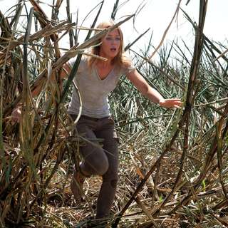Emily Blunt stars as Sara in TriStar Pictures' Looper (2012)