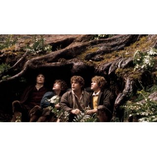 Lord Of The Rings: The Fellowship Of The Ring, The Picture 4