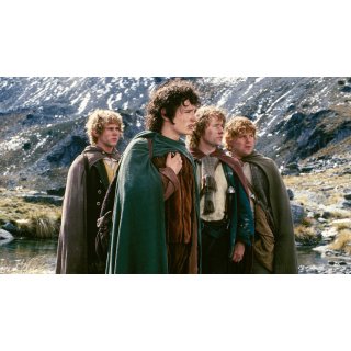 Lord Of The Rings: The Fellowship Of The Ring, The Picture 6