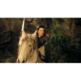 Lord Of The Rings: The Fellowship Of The Ring, The Picture 7