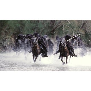 Lord Of The Rings: The Fellowship Of The Ring, The Picture 9