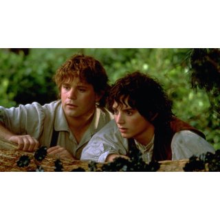 Lord Of The Rings: The Fellowship Of The Ring, The Picture 10