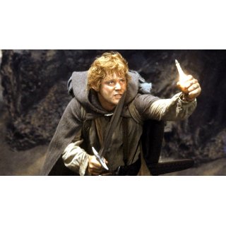 Lord Of The Rings: The Return Of The King, The Picture 6